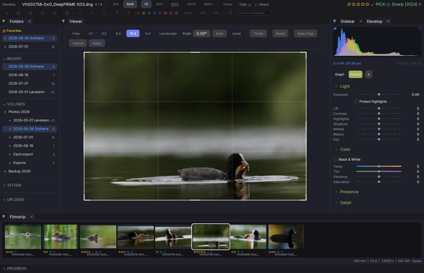 The crop tool, with a locked ratio and a grid overlay