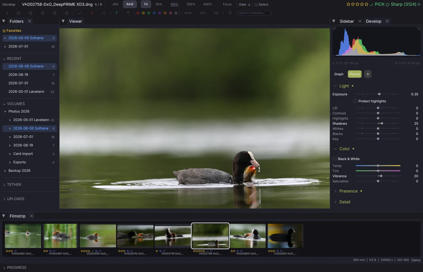 The develop view: the picture, and every adjustment beside it