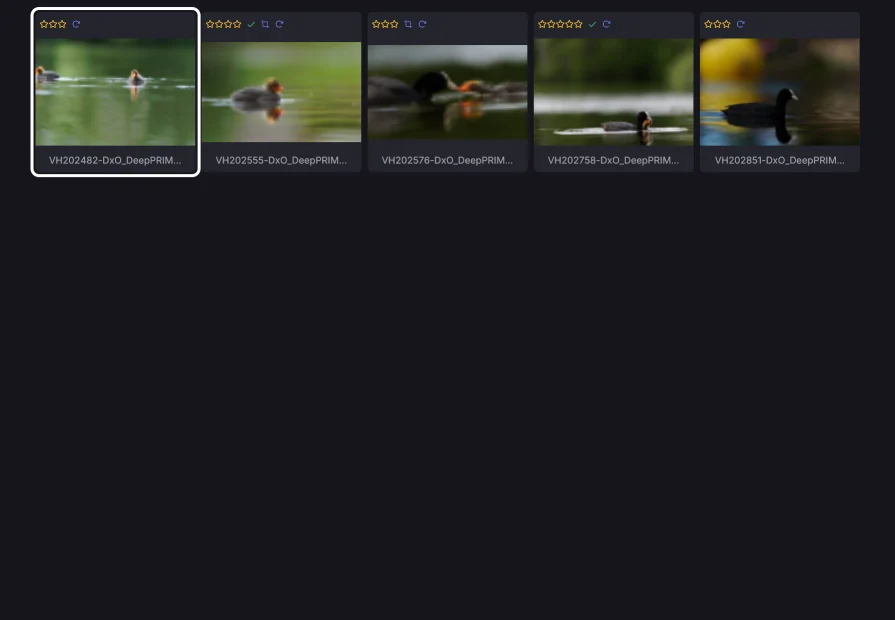 Das Raster, eingeengt auf die Bilder, die einen zweiten Blick wert sind. Die Filterleiste sagt, was ausgeblendet ist, sodass ein still gewordenes Shooting nie ein Rätsel ist.