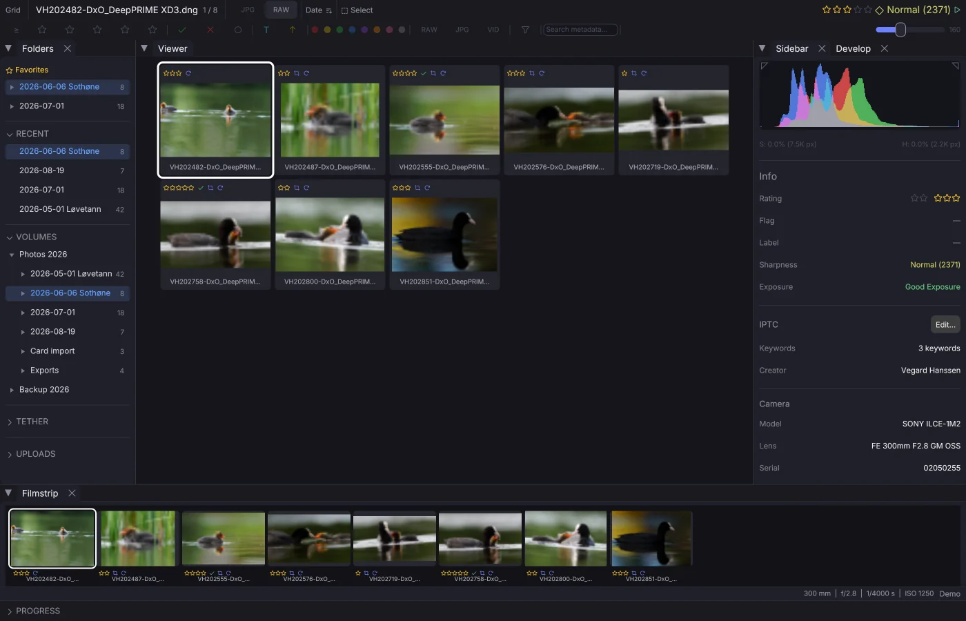 The grid, with ratings, flags and a sharpness reading on every frame