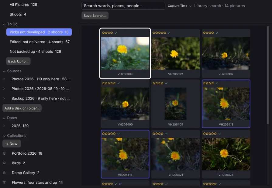 Was noch zu tun ist: die noch nicht gesichteten Bilder, die noch nicht entwickelten Auswahlbilder und was bearbeitet, aber nicht geliefert ist.