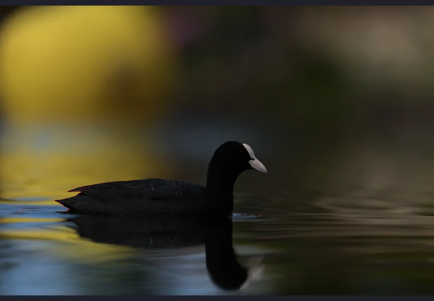 Die Rauschkarte: wo das Korn wirklich ist. Ein Bild, das auf einem hellen Bildschirm in den Schatten sauber aussieht, ist es vielleicht nicht, und das hier sagt es, bevor du lieferst.